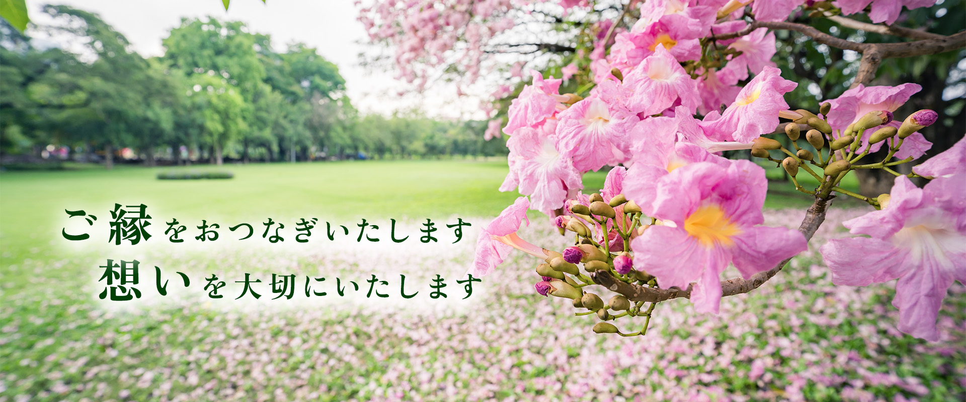 mv01 ご縁をおつなぎします 想いを大切にいたします|つなぐ 株式会社